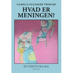 HVAD ER MENINGEN? - En tekstcollage
