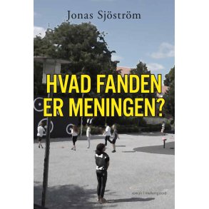 HVAD FANDEN ER MENINGEN?