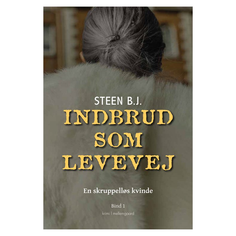 INDBRUD SOM LEVEVEJ - En skruppells kvinde bind 1