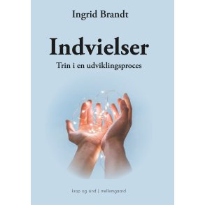 INDVIELSER - Trin i en udviklingsproces