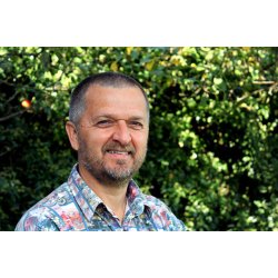 FLETTEDE ARKTISKE FUGLE - 26 flettede fugle i papir