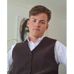 HISTORIEN OM DARUM-BRDRENE - En fortlling om ambition, troskab og forfald