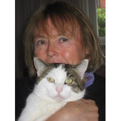 KATTEN - MENNESKETS BEDSTE VEN. 70 illustrerede haiku