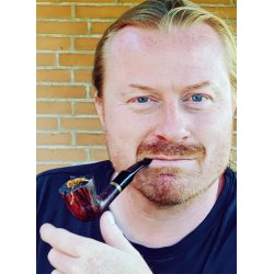 NSVISHEDER FRABEDES - En fortlling om en dement far og hans sn