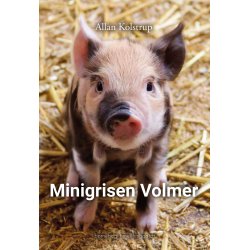 MINIGRISEN VOLMER