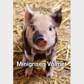 MINIGRISEN VOLMER