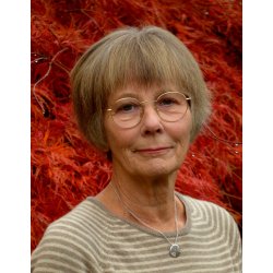 ADOPTION - HISTORIER OG HISTORIE. Et kalejdoskop