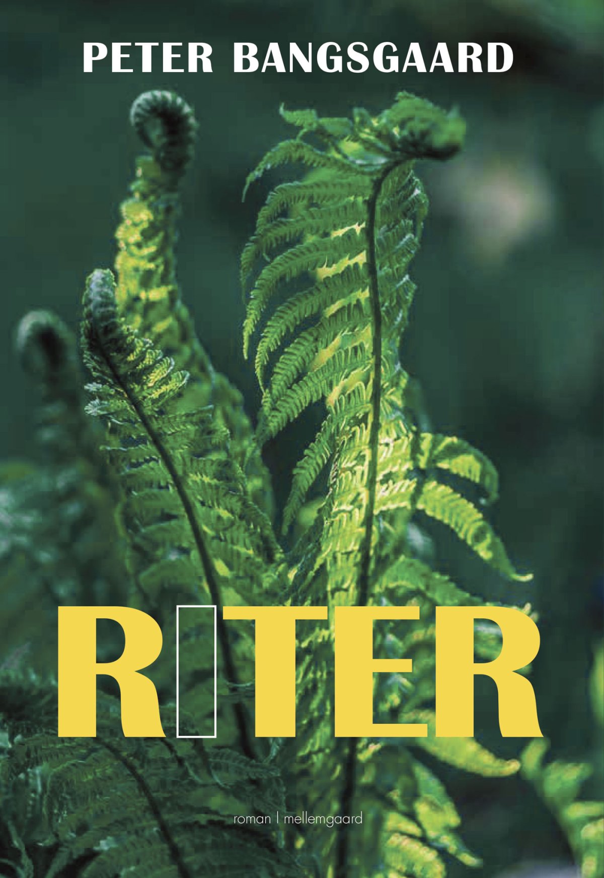 RITER - Skønlitteratur - Voksne - Forlaget mellemgaard