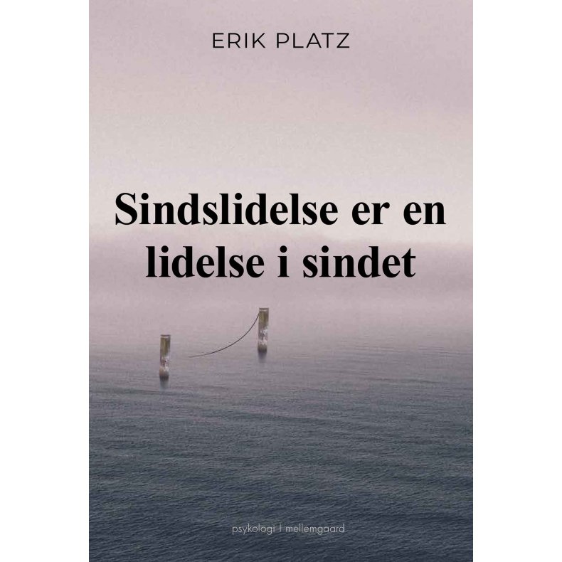 SINDSLIDELSE ER EN LIDELSE I SINDET