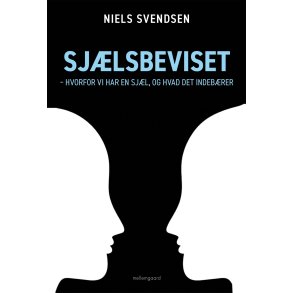 SJLSBEVISET - Hvorfor vi har en sjl, og hvad det indebrer