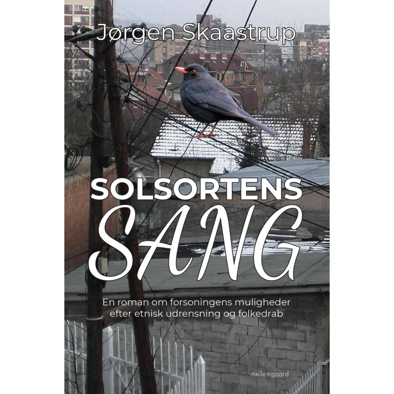 SOLSORTENS SANG - En roman om forsoningens muligheder efter etnisk udrensning og folkedrab