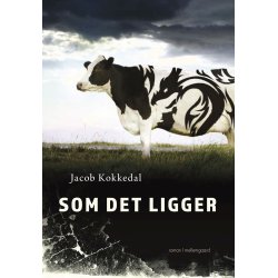 SOM DET LIGGER