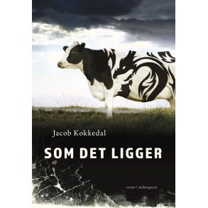 SOM DET LIGGER
