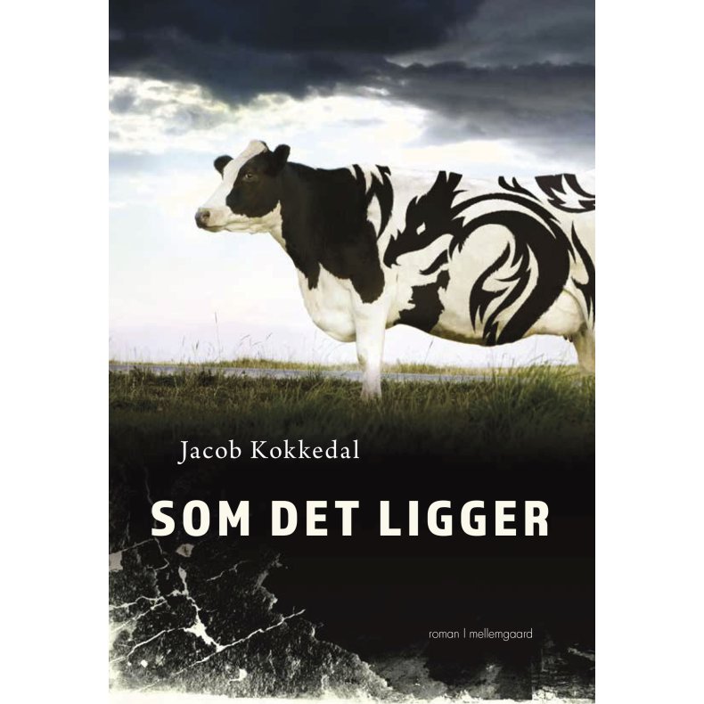 SOM DET LIGGER