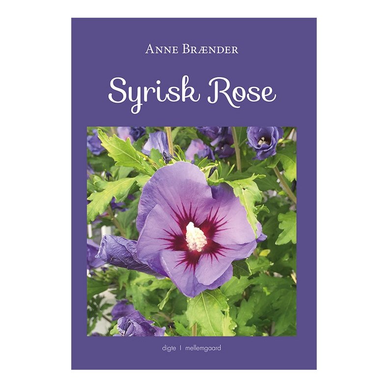 SYRISK ROSE