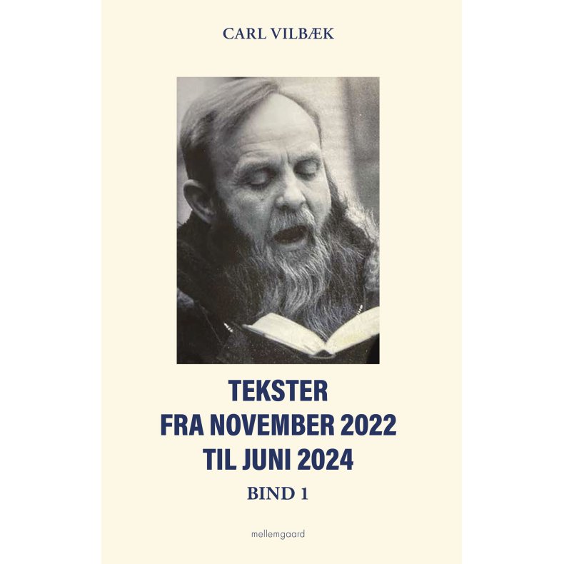 TEKSTER FRA NOVEMBER 2022 TIL JUNI 2024 - Bind 1