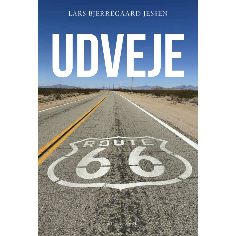 UDVEJE