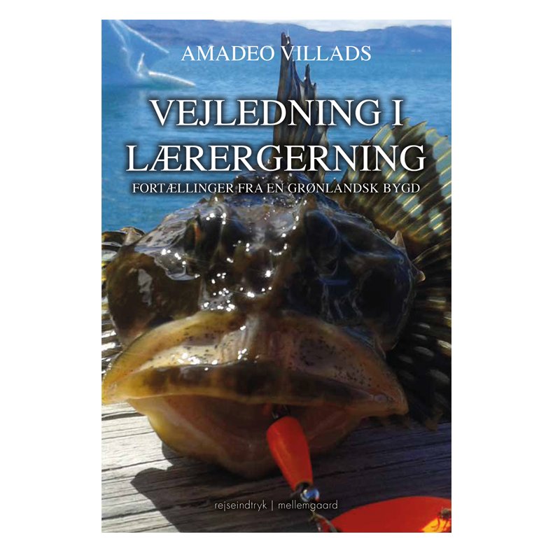 VEJLEDNING I LRERGERNING - Fortllinger fra en grnlandsk bygd