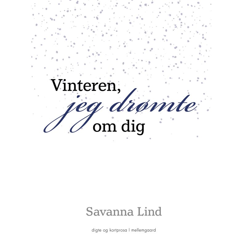 VINTEREN, JEG DRMTE OM DIG