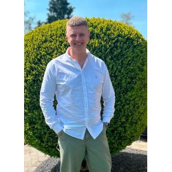 WILLIFICERET - Kontrolleret kaos