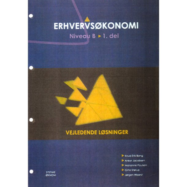 Erhvervskonomi Niveau B - Vejl.lsning.