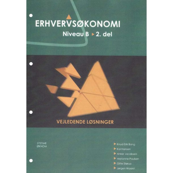 Erhvervskonomi Niveau B, 2.del - Vejl.lsninger