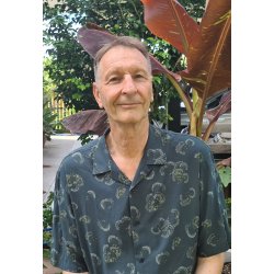 BLODM�NE OVER PARADISBYEN