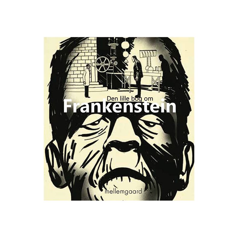 DEN LILLE BOG OM FRANKENSTEIN