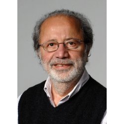 INDVANDREREN OG HOLGER DANSKE