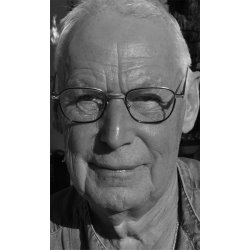 PIGEN P BALKONEN - En roman om tilfldets tilfldigheder