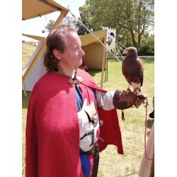 TEMPELRIDDERNES HEMMELIGHED - Sagaen om ridder Dane 2