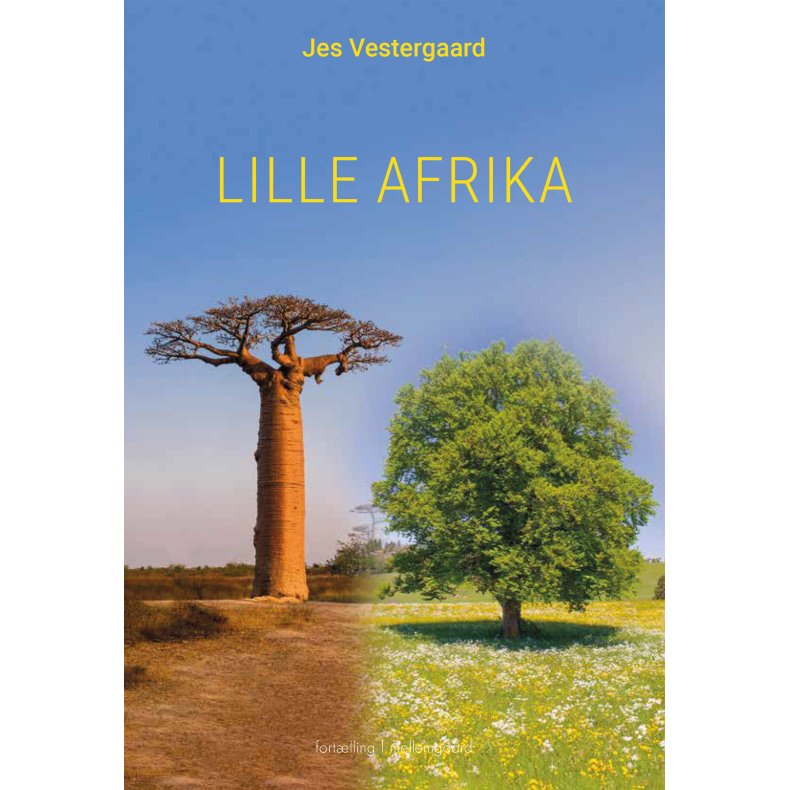 LILLE AFRIKA E-bog
